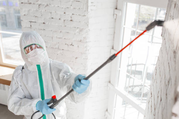 Mold Remediation for Rental Properties in Farmington, MI