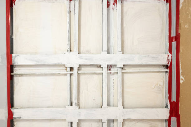 Best Biohazard Mold Removal  in Farngton, MI