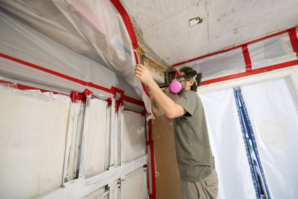 Best Real Estate Mold Inspection  in Farngton, MI