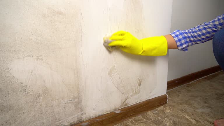 Best HVAC Mold Inspection and Cleaning  in Farngton, MI
