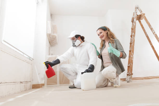 Best Attic Mold Removal  in Farngton, MI